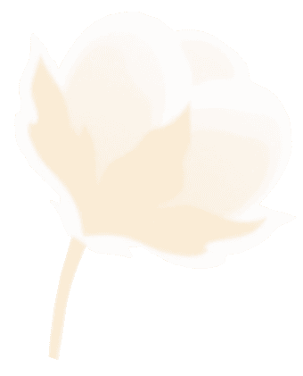 Logo Fiorella Casa de Repouso