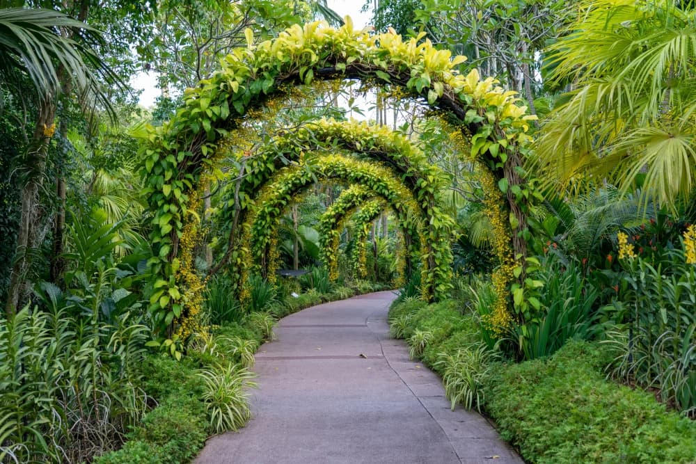Jardim arborizado com flores e áreas de descanso ao ar livre
